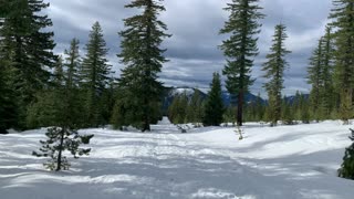 Hiking Hash Brown Loop – Central Oregon – Potato Hill Sno-Park – 4K