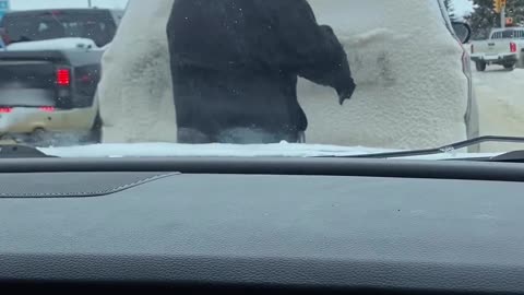 This is what road rage in Canada looks like