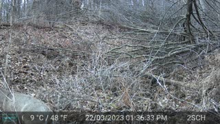 trail cam next to the 30