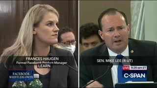 Senate Hearing: Facebook Whistleblower Explains Ad Process To Mike Lee