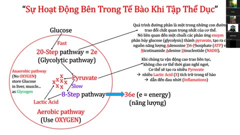 Cách tập thể dục đúng cách và muốn hiệu quả cao nhất phải kết hợp đi chân đất.