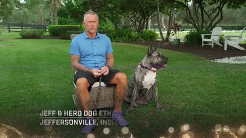 2022 Hero Dog Awards | Shelter Hero Dog and American Hero Dog Ethan