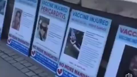 Queenstown Waterfront NZ Exposes "Vaccine" Injuries & Deaths To Tourists