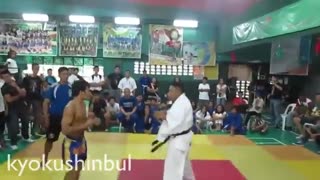 Kyokushin Karate vs Muay Thai