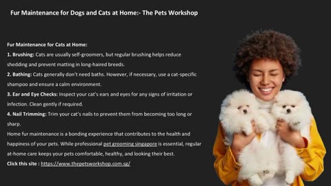 Fur Maintenance for Dogs and Cats at Home:- The Pets Workshop