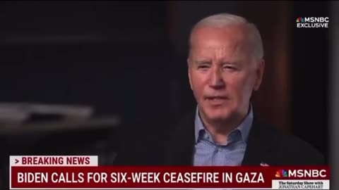 Biden Freezes After Accidentally Admitting Truth About Ceasefire With Hamas