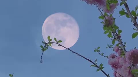 moon in sky during daytime.