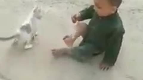 Cat Fighting With Cute baby