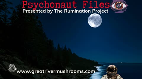 Psychonaut Files: The Research & Data Presented by The Rumination Project 📅🔬🥼