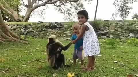 Kids & Monkeys