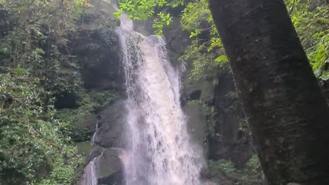 Hidden water falls at sundarijal