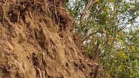 Chandranath mountain, Sitakunda, Chattagram, Bangladesh.