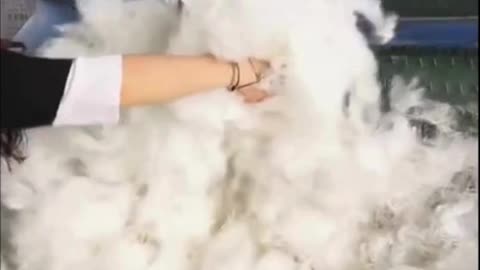 How Blanket is Made From Sheep Skin