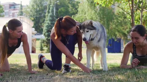 Basic Dog Training – TOP 10 Essential Commands Every Dog Should Know!