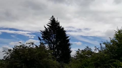 Chemtrailing - Today a white out...Very few natural clouds!