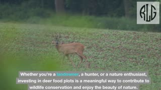 How to Plant Deer Food Plots A Guide to Enhancing Wildlife Habitat