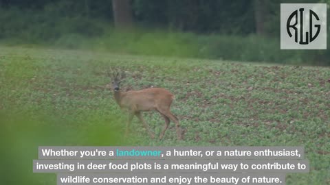 How to Plant Deer Food Plots A Guide to Enhancing Wildlife Habitat