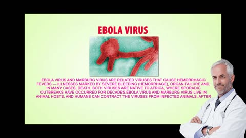 Deadly Ebola Virus _ AAI Rejuvenation Clinic _ Health Education