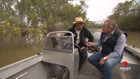 River Murray floodplains set to be replenished by rains and rehab plan _ 7NEWS