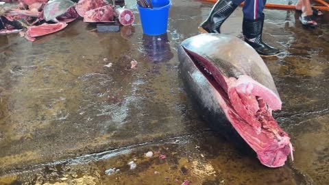 Amazing bluefin tuna cutting skills(5) - Take you to understand