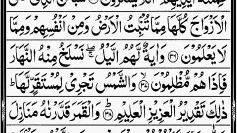 SURAH YASEEN