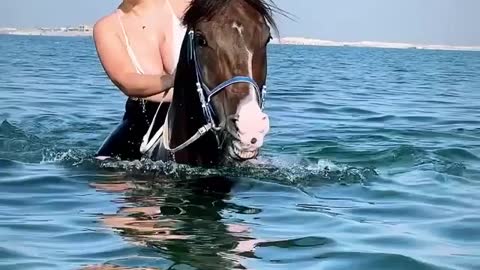 Beautiful horse riding