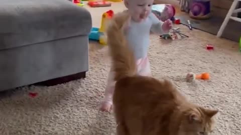 Adorable Fluffy Cat Helps Baby Take First Steps!!