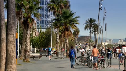 10 Top Tourist Attractions in Barcelona - Travel Video