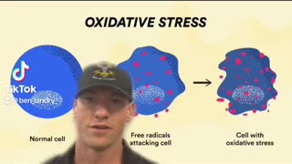 Oxidative Stress