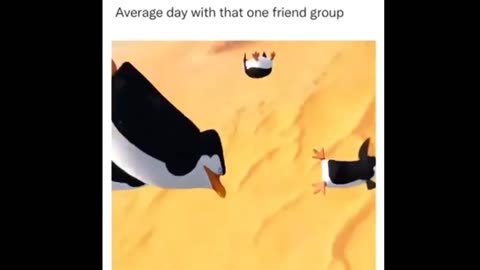 Average day with that on friend group-