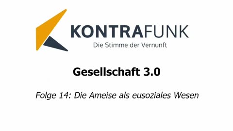 Gesellschaft 3.0 - Folge 14: Die Ameise als eusoziales Wesen