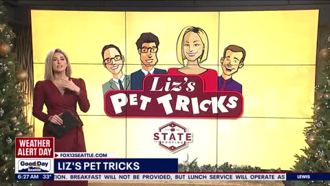 Liz's Pet Tricks for Thursday, December 1 FOX 13 Seattle