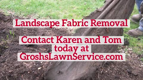 Landscape Fabric Removal