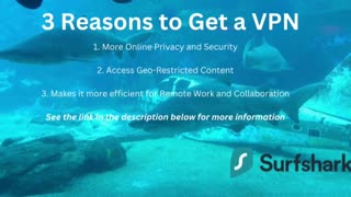 Dive into the Deep Web with Surfshark VPN: The Only Guide You'll Need