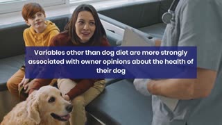 New Study Debunks Vegan Diet Benefits for Dogs