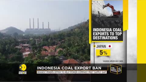 Indonesia banned coal export to meet its own power demands| WION Climate Tracker|Latest english News