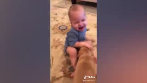 Funny dog and baby loving eachother 😅😅🐕