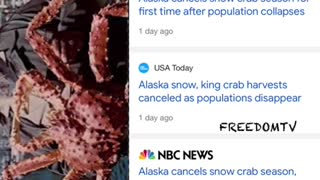 1 billion king snow crabs mysteriously disappear, says the corrupt gubmint