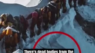 Joe Rogan on Bodies Of Dead Climbers On Everest