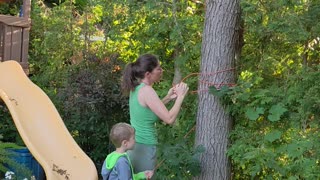 Oriole feeder