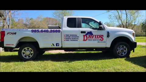 David's Tree Service