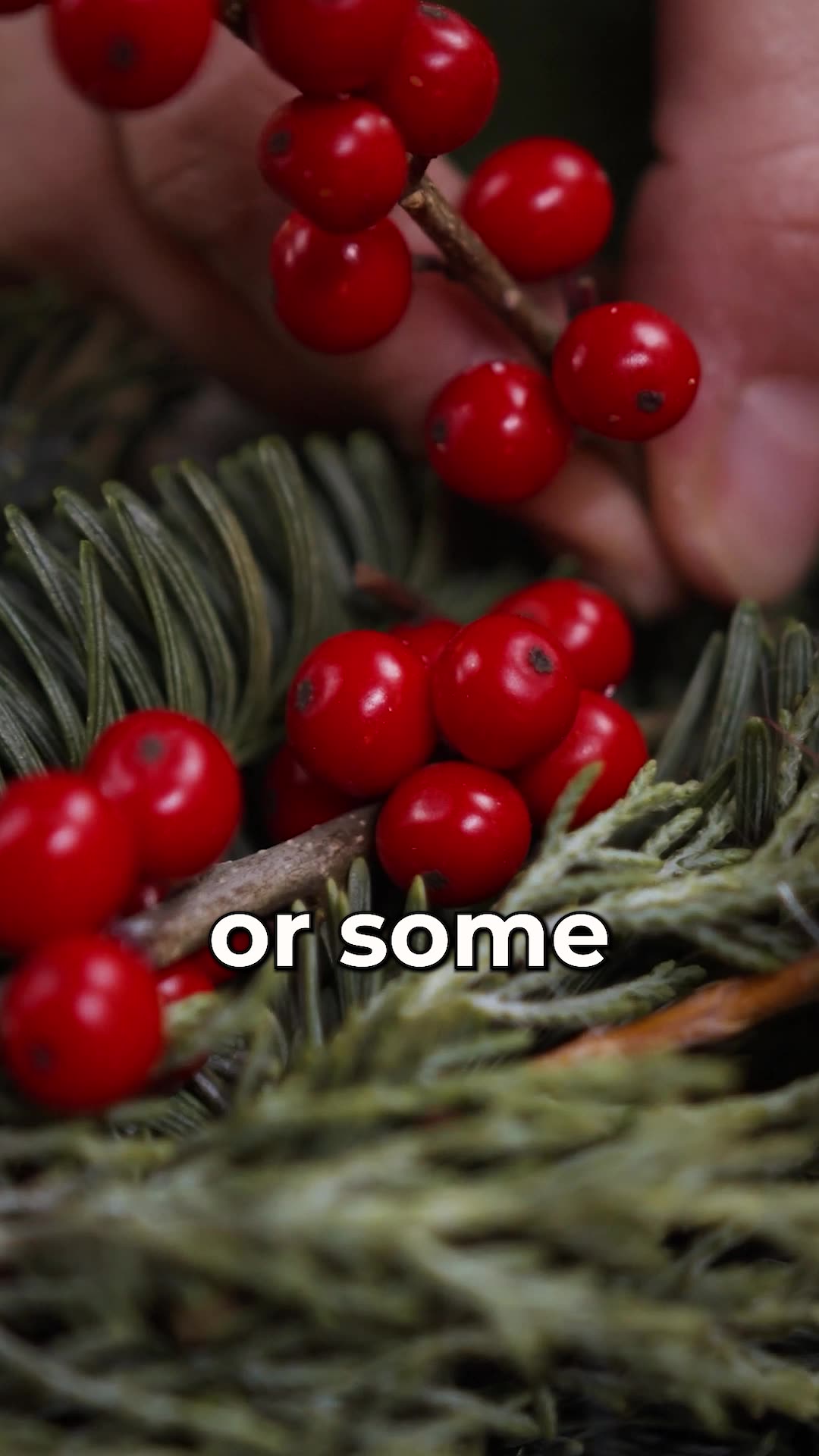 Interesting Facts About Advent Wreaths interesting-facts-about-advent-wreaths