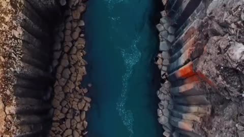 Song remix video Nature video so cool