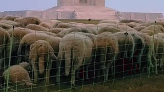 Canadian National Vimy Memorial: Unveiling the Past at a Historic Monument