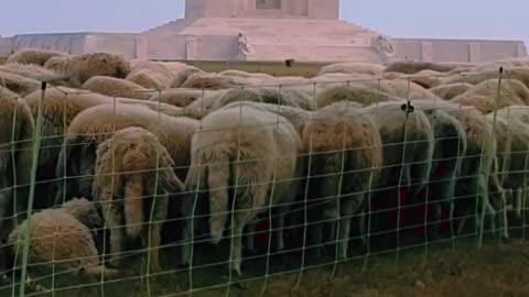 Canadian National Vimy Memorial: Unveiling the Past at a Historic Monument