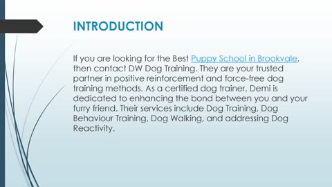 Best Puppy School in Brookvale