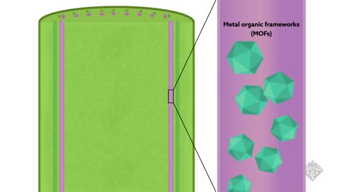 New Plants and MOFs - Headline Science