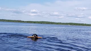 Beautiful Swimmer