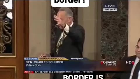 Remember when Chuck Schumer wanted to secure the border?