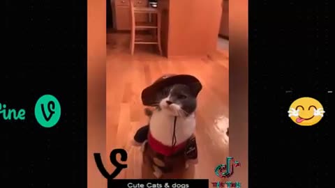 Best Funny Animal Videos Of The 2023 🤣 - Funniest Cats And Dogs Videos 😺😍😂🐶 Funny cat & dog videos 😍